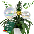 Bewässerungskugeln für Pflanzen — 2er Set, 400ml, 180ml