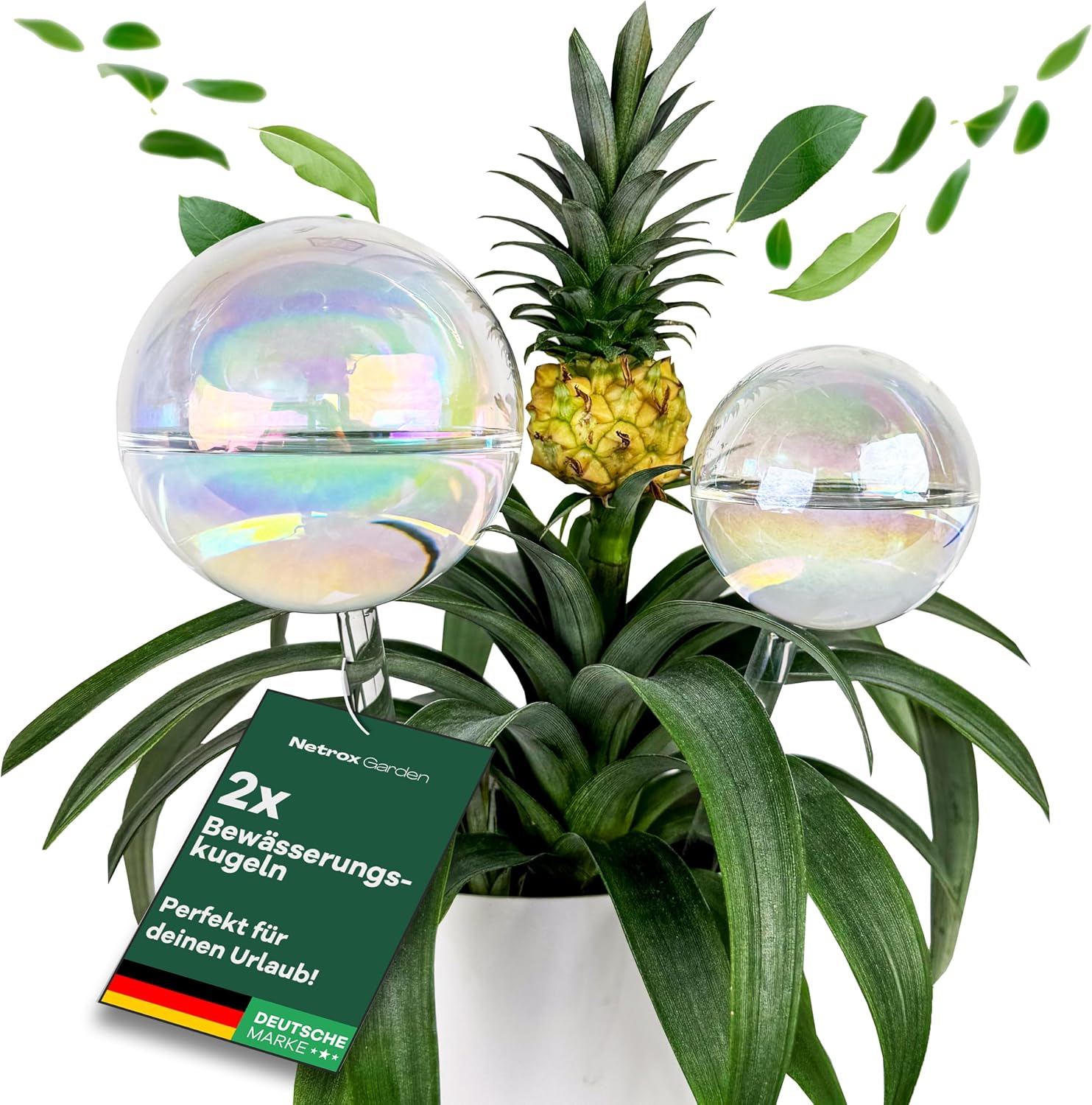 Bewässerungskugeln für Pflanzen — 2er Set, 400ml, 180ml