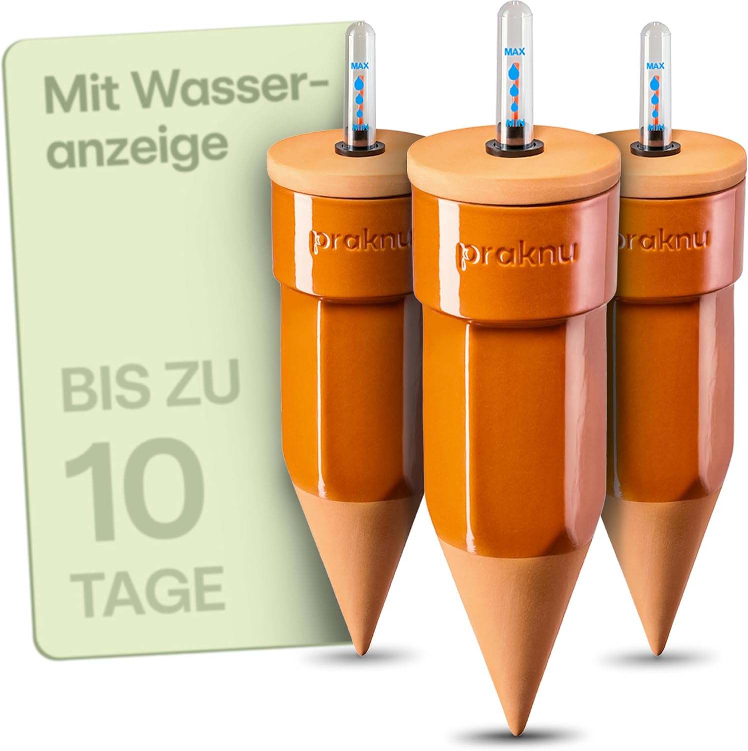 Wasserspender für Pflanzen